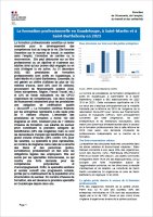 La formation professionnelle en Guadeloupe, à Saint-Martin et Saint-Barthélemy en 2023