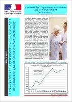 Les organismes de services à la personne en Guadeloupe, à Saint-Martin et Saint-Barthélemy (2008-2017)