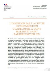 L'insertion par l'activité économique en Guadeloupe, à Saint-Martin et Saint-Barthélemy en 2021