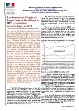 Les demandeurs d'emploi de longue durée en Guadeloupe et IDN : évolutions et caractéristiques en 2012 