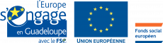 Réunion d'information du Fonds Social Européen