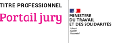 HABILITATION JURY